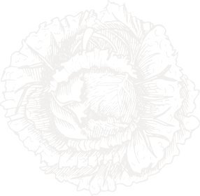 decor-el_1.jpg