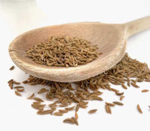 Cumin powder