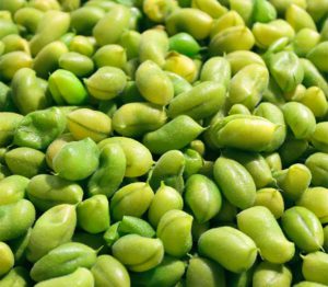 Edamame Supplier Saudi