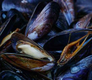 Fresh Mussels