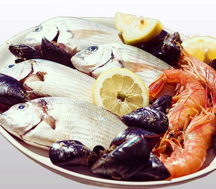Fresh Sea Food Supplier