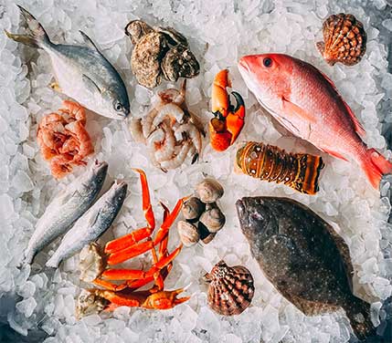 Frozen Seafood Supplier