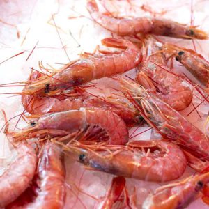 Frozen Shrimp Supplier Saudi