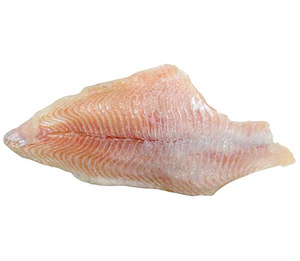 grouper-fillet.jpg