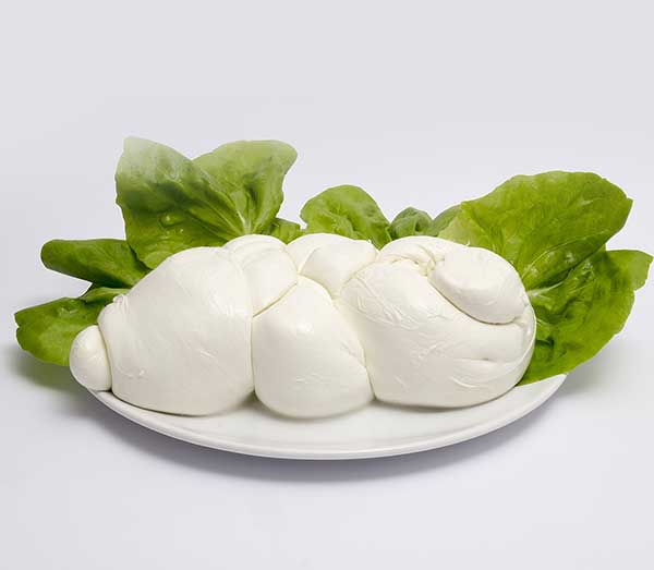 Mozzarella Block