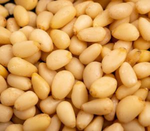 Pine Nuts