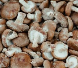 shitake mashrooms