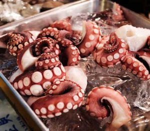 tako octopus