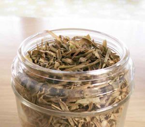 Tarragon Leaves