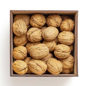 Walnut Distributor