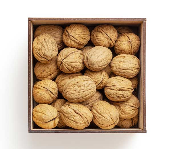 Walnut Distributor