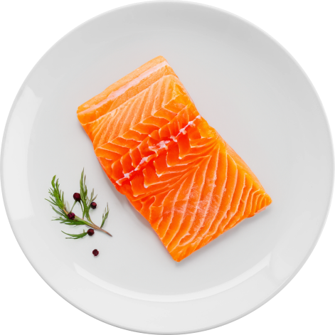 Frozen Salmon