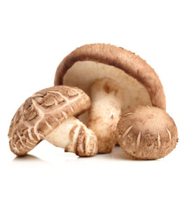 Shitake Mushroom