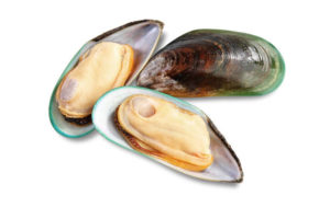 Mussels